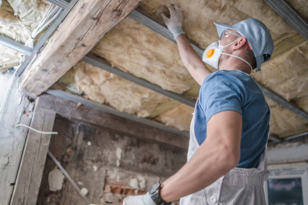 Best Residential Insulation in Delaware, OH